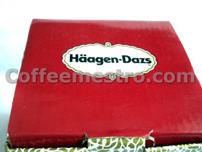 Haagen Daz Ice Cream Bowl and Spoon Set