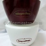 Haagen Daz Ice Cream Fondue Pot Box Set